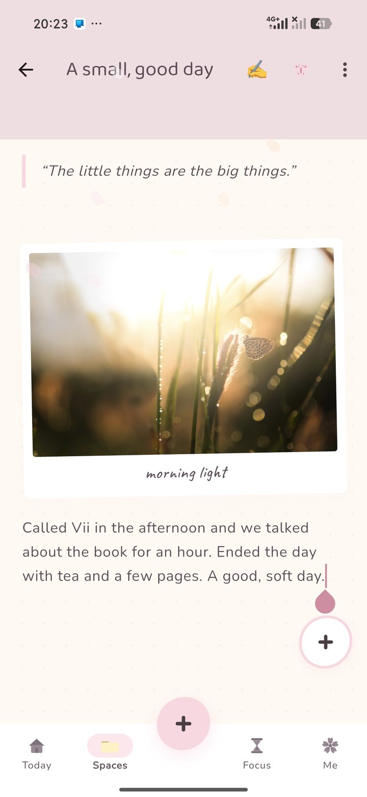 A Cocoon Paper titled 'A small, good day' with a pressed photo and handwritten prose